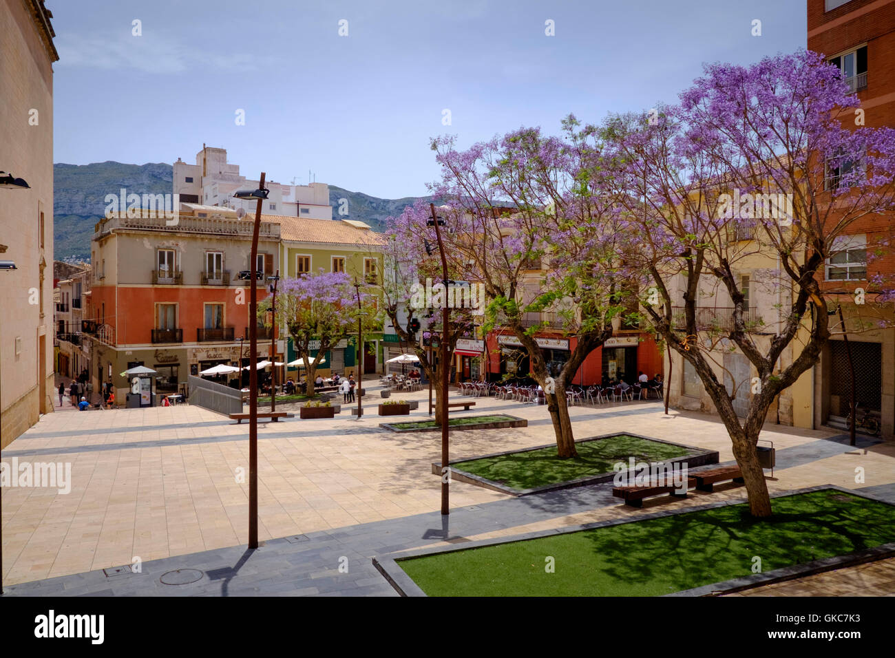 Constitucion Place Denia Espagne avec jacarandas en fleurs Banque D'Images