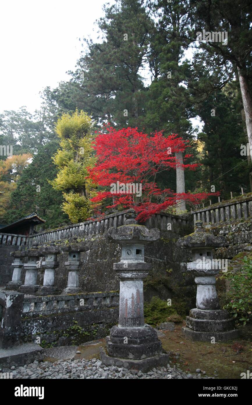 Rouge, orange, jaune et vert feuille d'arbres sur les terrains d'Taiyuuin-bvous. La période automnale à Nikko, Japon. Lanternes en pierre Banque D'Images