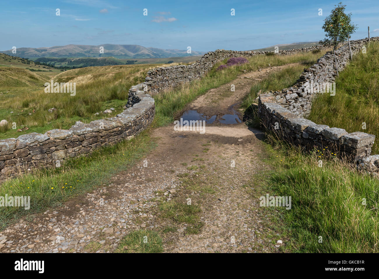 L'occupation de la route au-dessus de Dentdale Yorkshire Dales National Park Banque D'Images