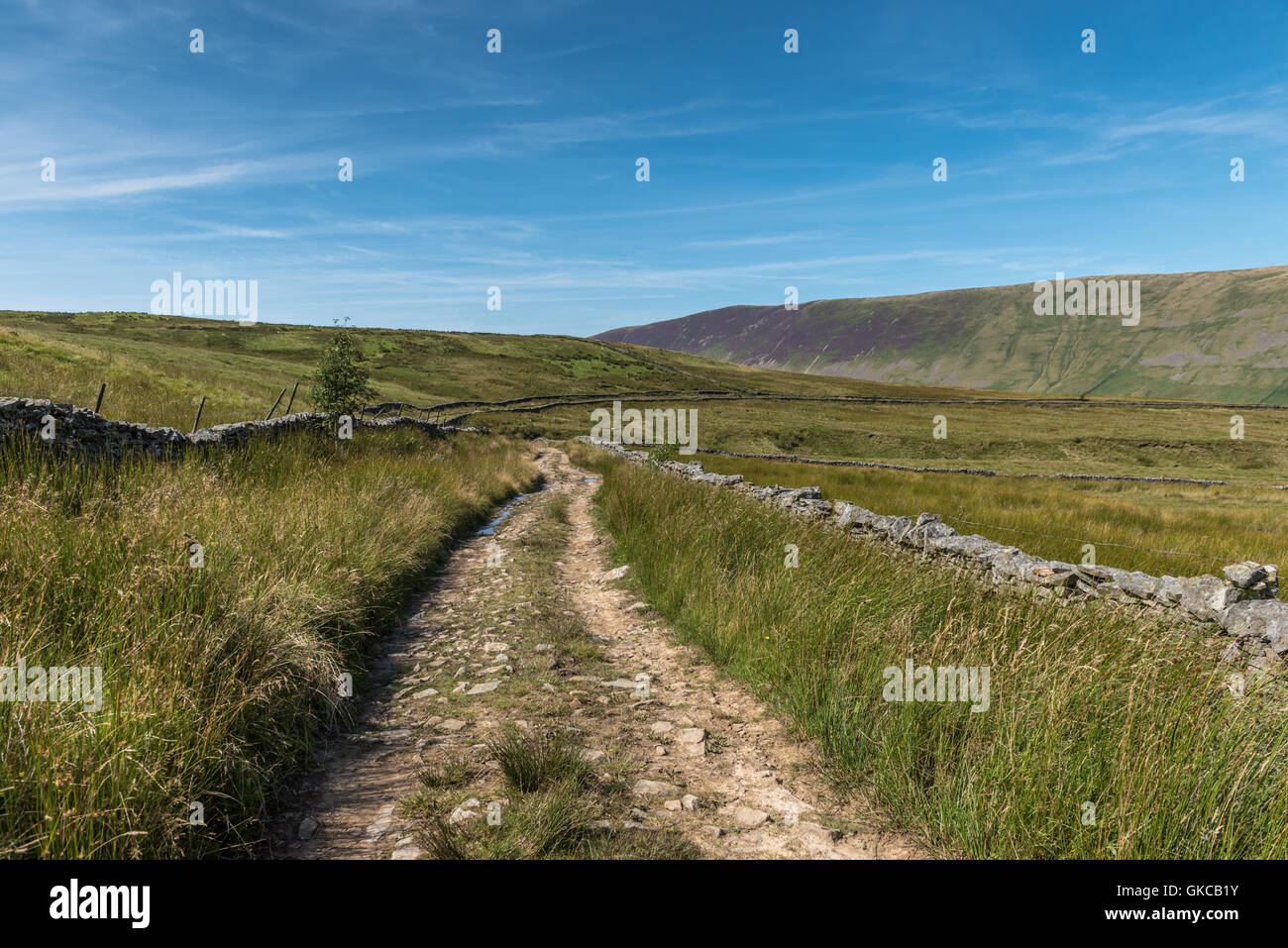 L'occupation de la route au-dessus de Dentdale Yorkshire Dales Banque D'Images