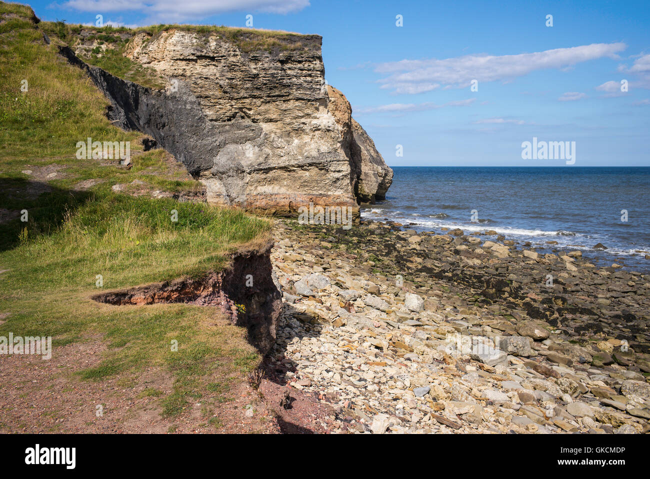 Falaises à nez's Point, plage de souffle, Dawdon, Seaham, County Durham, Royaume-Uni Banque D'Images