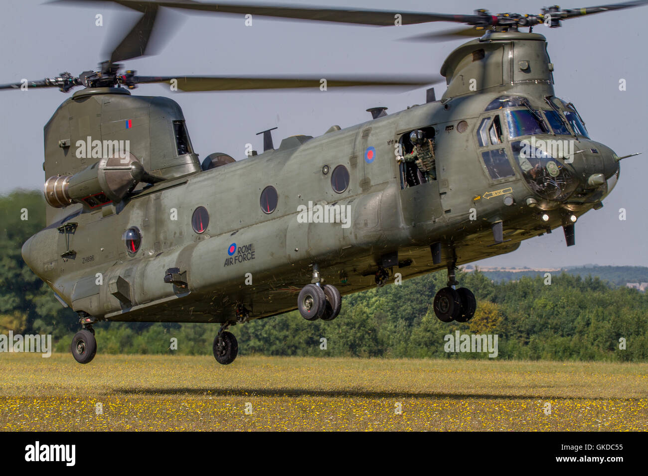 Royal Air Force Boeing Chinook HC.2 Vue en gros comme l'appareil atterrit pendant un exercice d'entraînement. Banque D'Images