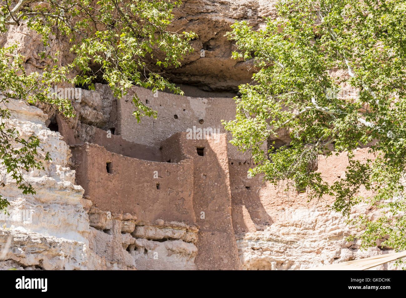 La Native American Cliff dwellings de Montezuma Castle National Monument, Arizona, vu à travers les branches de sycomores. Banque D'Images