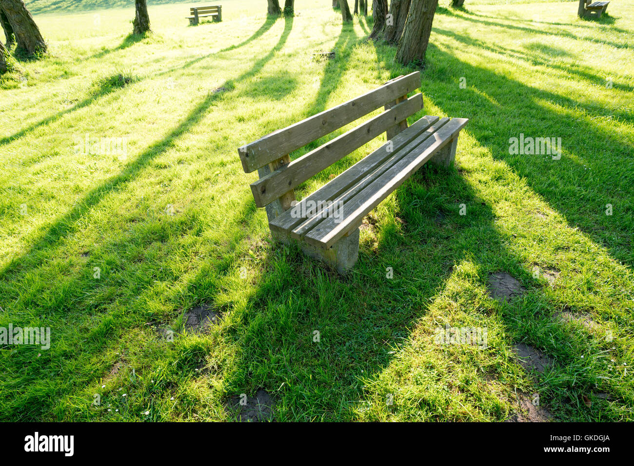 Banc dans Green Park et les ombres des arbres Banque D'Images