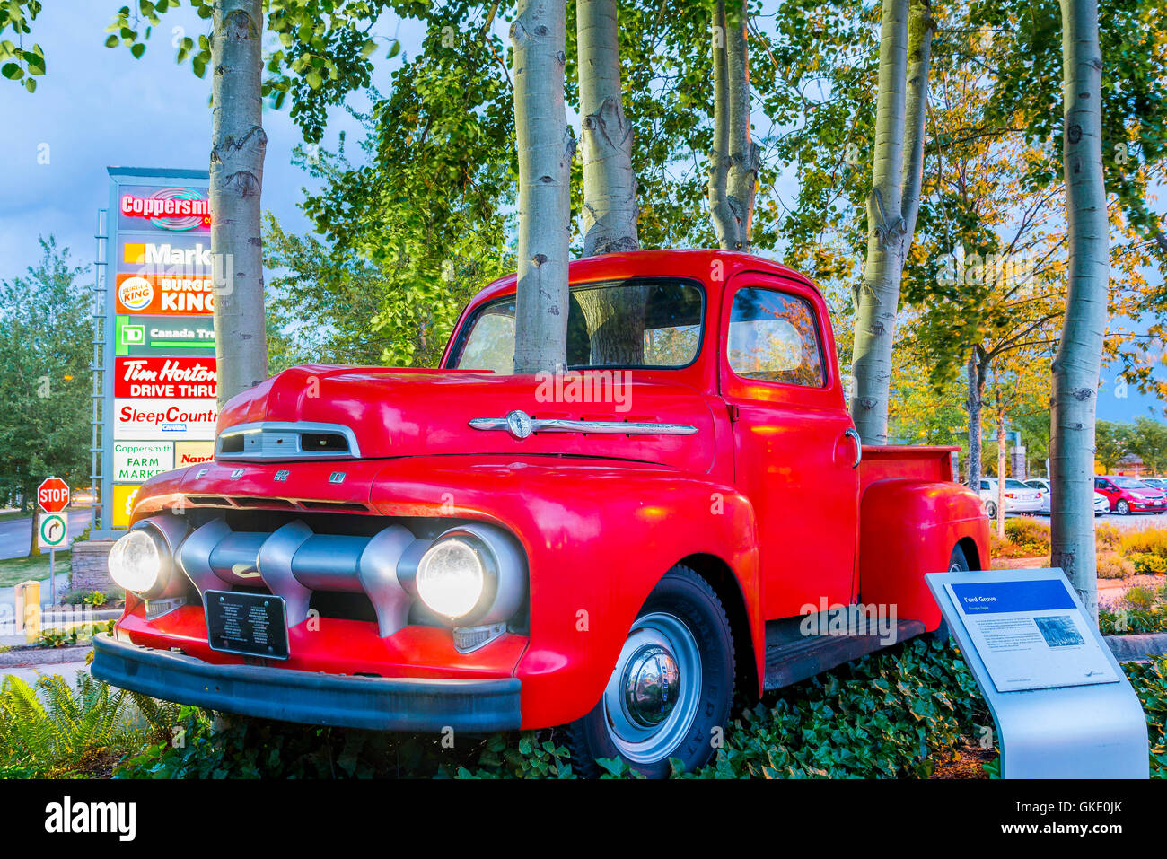 Art installation appelée Ford Heights, '52 Ford Pick up Truck, envahi par les trembles. Banque D'Images