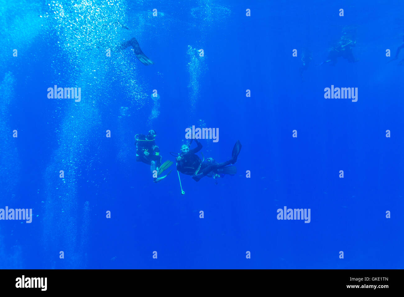 Groupe de plongeurs près de voile nager sous l'eau Banque D'Images