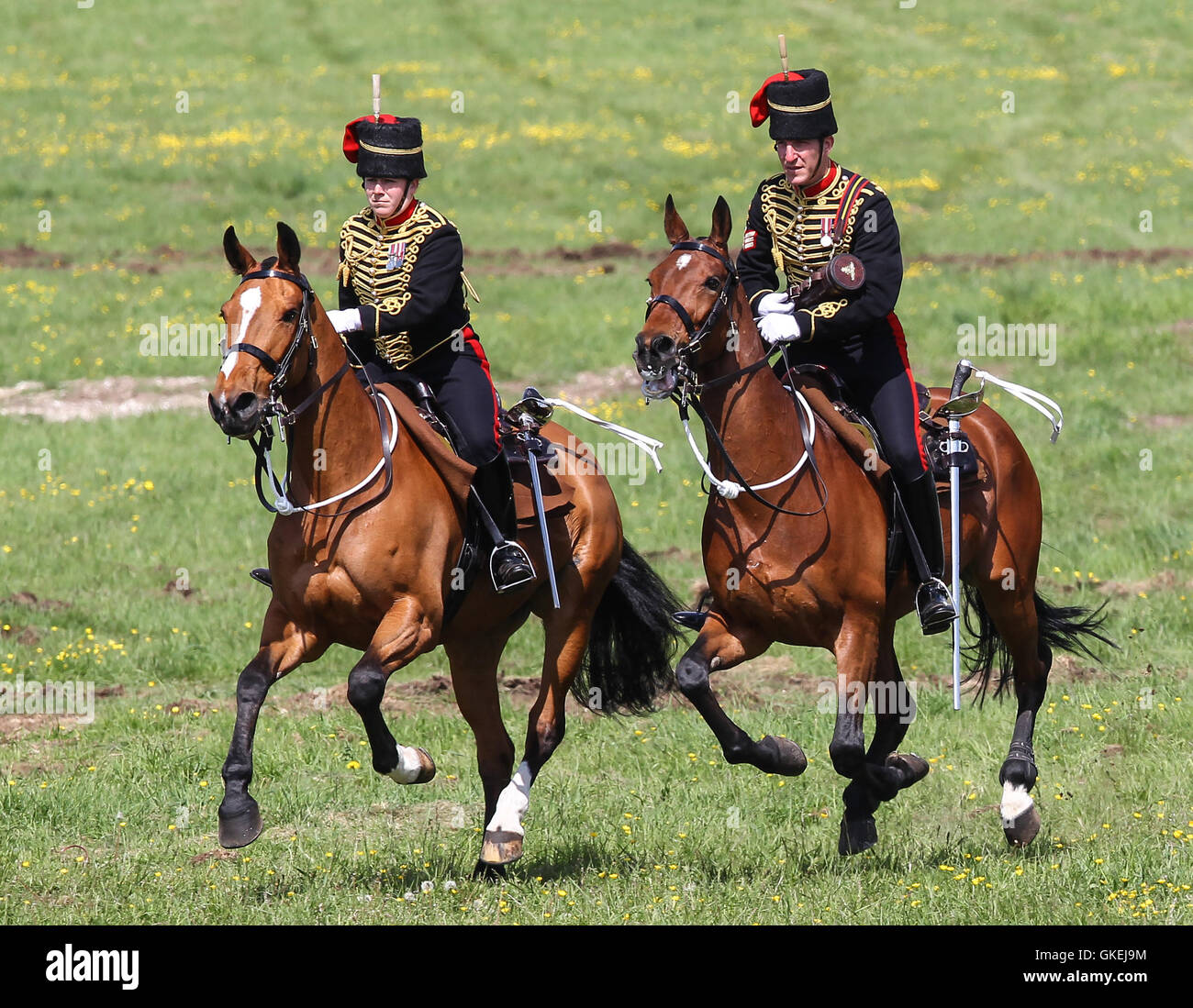 Sa Majesté la Reine, le capitaine-général du Régiment royal de l'Artillerie, assiste à un examen de l'Artillerie royale à l'occasion de leur tricentenaire à Knighton, Parkhill. Doté d''atmosphère : où : Salisbury, Royaume-Uni Quand : 26 mai 2016 Banque D'Images