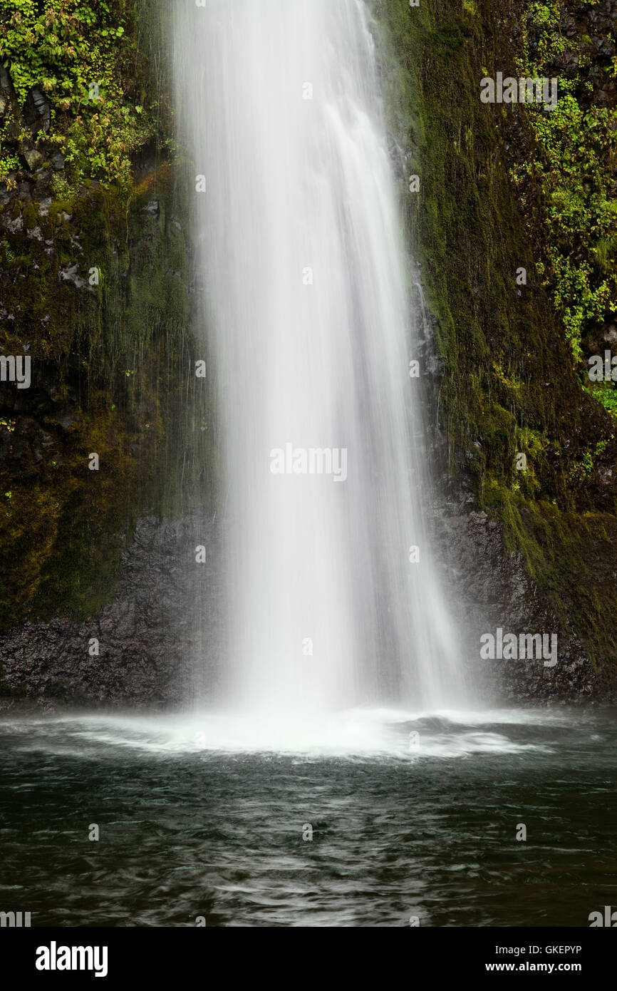 La prêle Falls se trouve le long de l'Interstate 84 et US 30 historique le long de la rivière Columbia, dans le Nord de l'Oregon Banque D'Images