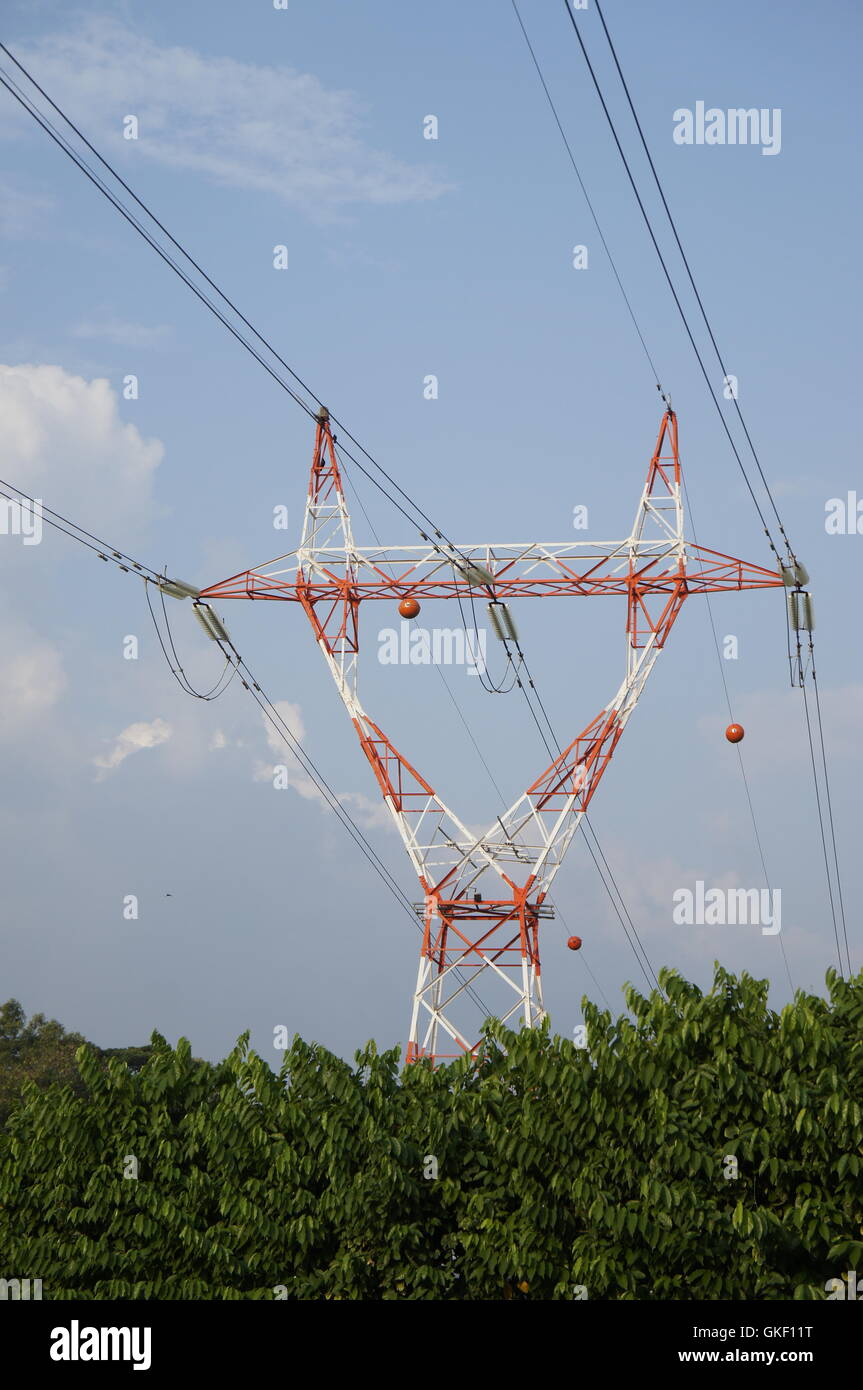 Tour de transmission de l'électricité avec un ciel bleu et des arbres verts Banque D'Images