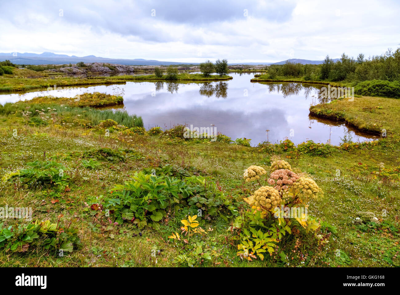 Le parc national de Þingvellir, Thingvallavatn, Islande Banque D'Images