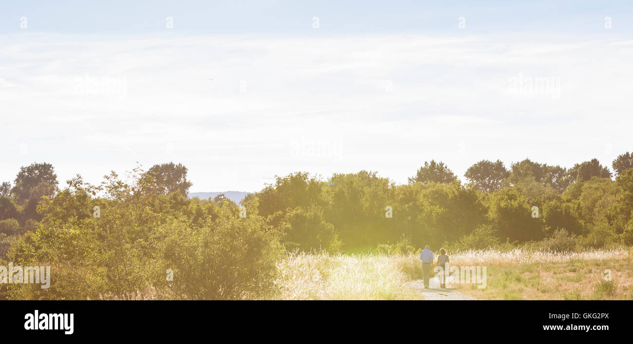 Zone de loisirs de Wienerberg Park situé dans le 10ème arrondissement de Vienne était une ancienne manufacture de briques impériale. Paysage avec m Banque D'Images