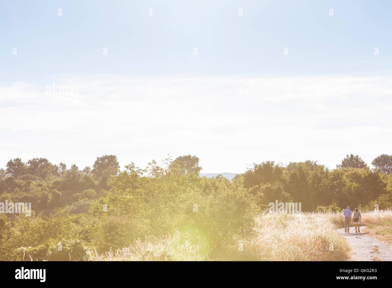 Zone de loisirs de Wienerberg Park situé dans le 10ème arrondissement de Vienne était une ancienne manufacture de briques impériale. Paysage avec m Banque D'Images