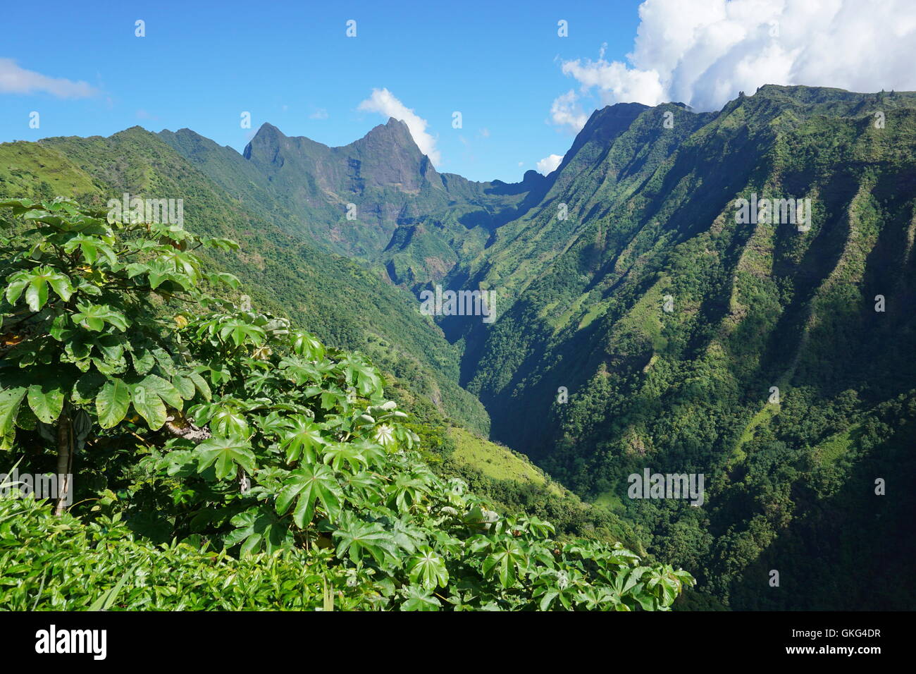 Tahiti, le paysage de montagne en vallée Tuauru Mahina avec le mont Orohena en arrière-plan, plus haut sommet de la Polynésie Française Banque D'Images