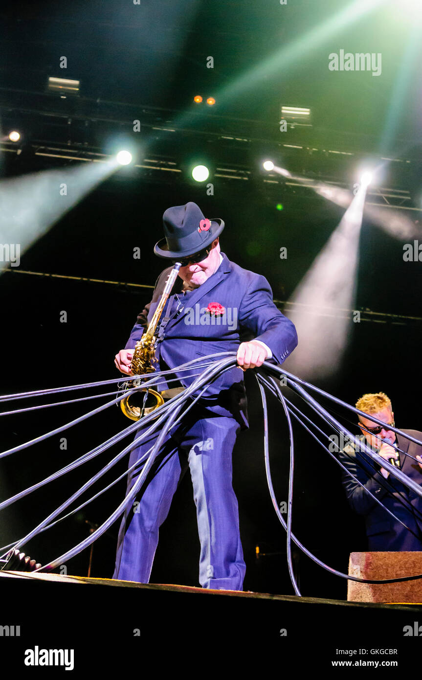 Belfast, Irlande du Nord. 21 août 2016 - Madness jouer à Belsonic festival musique Crédit : Stephen Barnes/Alamy Live News Banque D'Images