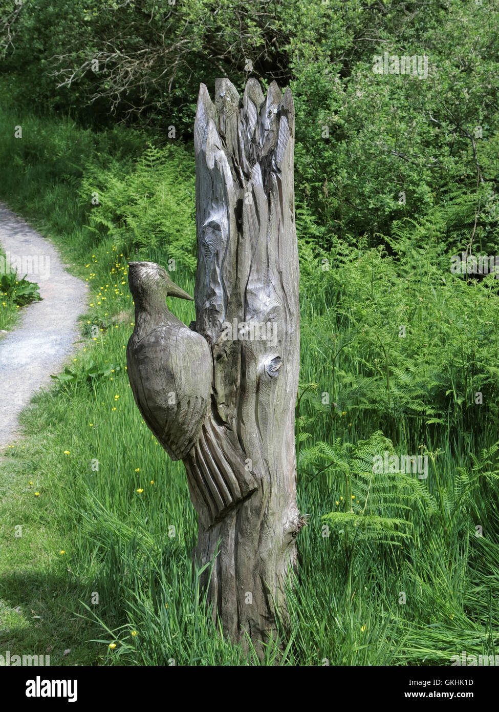 Sculpture en bois d'un pic-vert sur un tronc d'arbre, Muckle, Nr  Rockcliffe, Dumfries et Galloway, Écosse, Royaume-Uni Photo Stock - Alamy