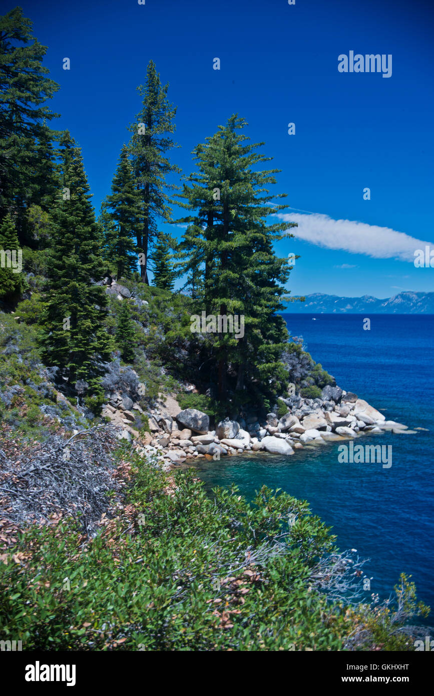 Vue d'un rivage rocheux du lac Tahoe à D.L. Bliss State Park, Californie Banque D'Images