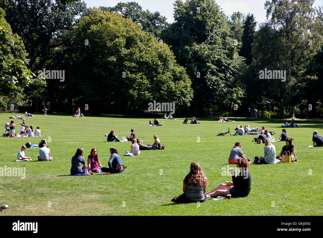 Les gens en train de déjeuner assis sur l'herbe dans les jardins botaniques de Belfast Banque D'Images