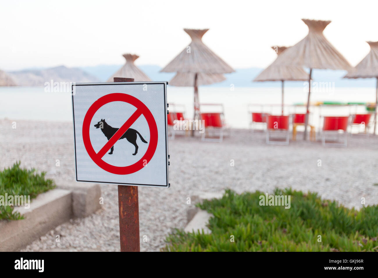 Pas d'entrée. Les signes annonçant l'interdiction des chiens sur la plage. (Shallow dof) marque l'accent sur fond flou. Banque D'Images