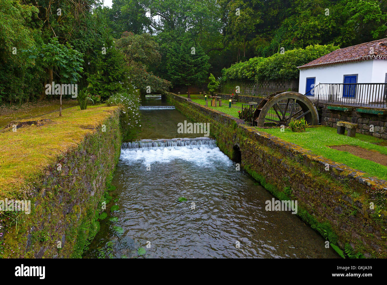 Pelas Furnas - Fotos Ilha de São Miguel, Açores