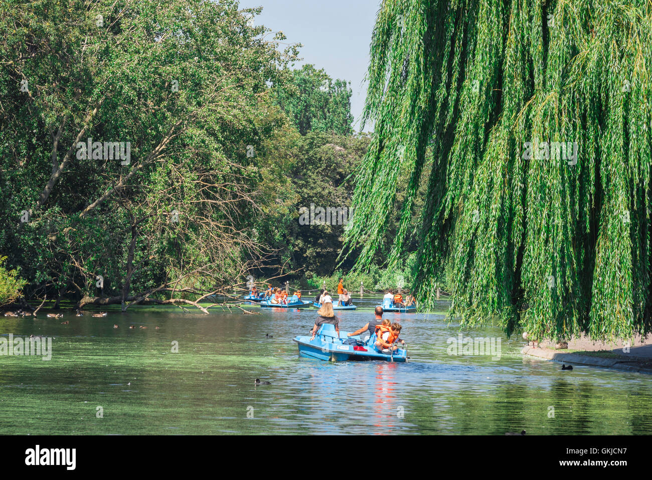 Canotage sur le lac de Londres en été, vue d'une famille en appréciant un après-midi sur le lac de canotage à Regent's Park, Londres, Royaume-Uni. Banque D'Images