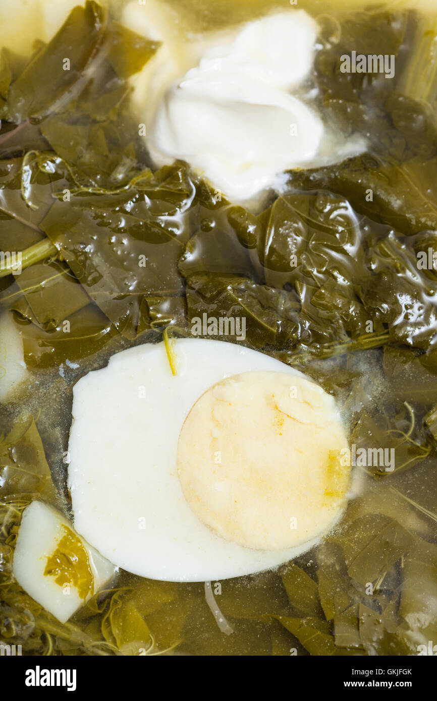 Au-dessus de la soupe végétarienne à partir de produits frais vert feuilles d'épinards, d'oseille, feuilles de betteraves avec la moitié de l'oeuf et la crème sure close up Banque D'Images