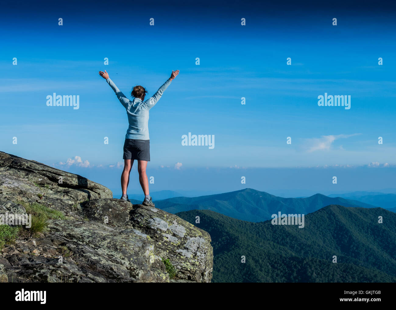 Pose d'alimentation sur une crête dans les montagnes Blue Ridge Banque D'Images