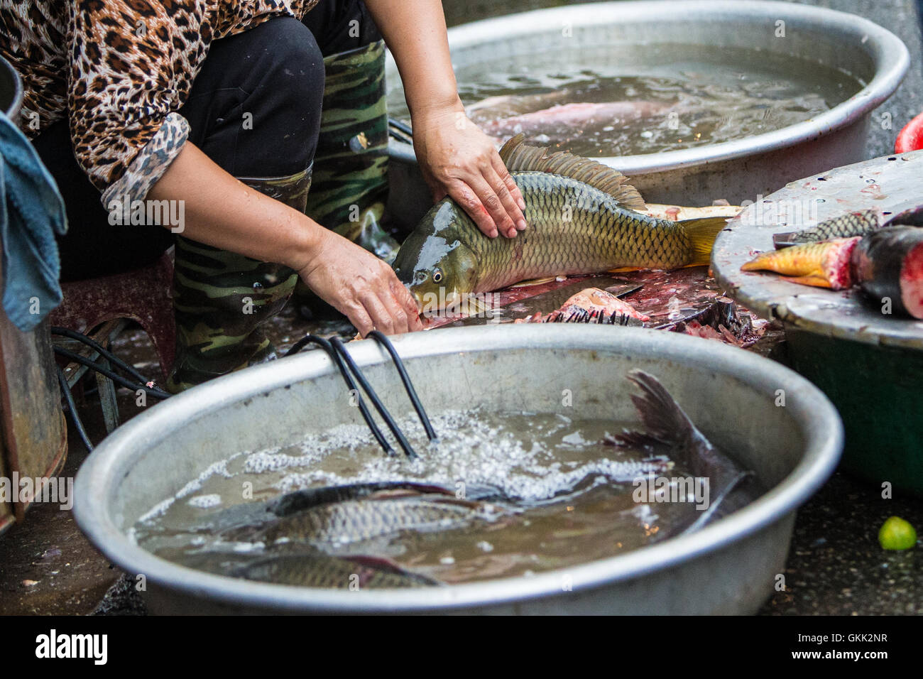 Poissonnier vendeur de poisson à Hanoi Vietnam Asie Marché Rue humide Banque D'Images