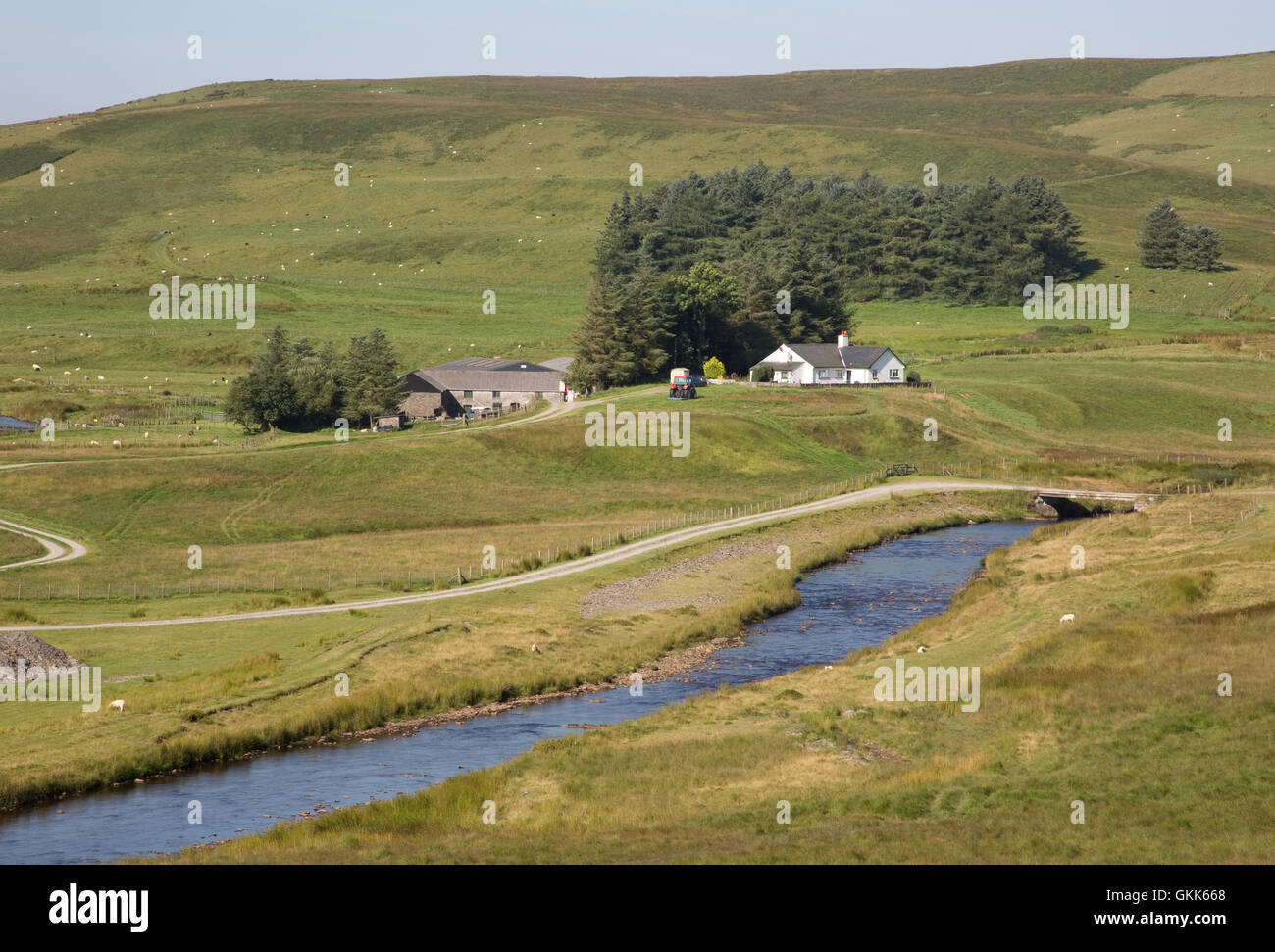Gallois à distance ferme de montagne aux côtés d'Afan Elan river monts Cambriens Mid Wales Banque D'Images