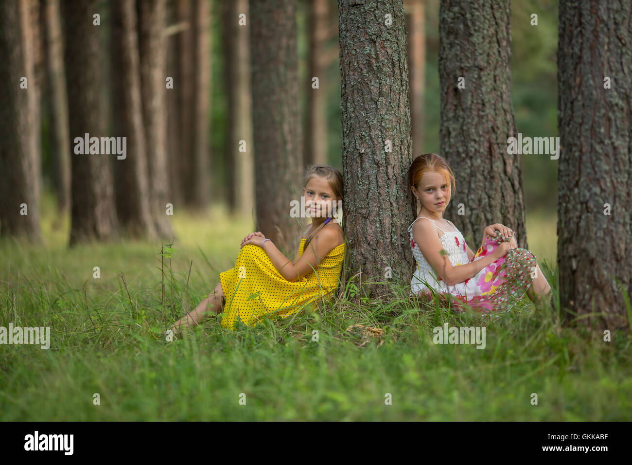 Deux petites amies posant assis dans la forêt de pins. Banque D'Images