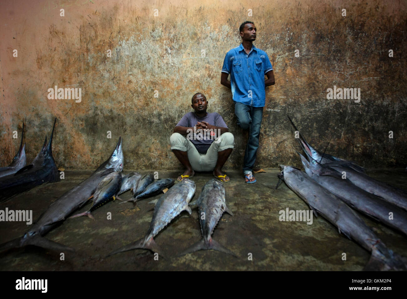 La Somalie, Mogadiscio : Dans une photographie prise le 16 mars 2013 et la libération par l'Union africaine et l'équipe de support d'information des Nations Unies 18 mars, les commerçants attendent de vendre leur poisson à l'intérieur de Mogadiscio's Fish Market dans le quartier de Xamar Weyne la capitale somalienne. Chaque matin Mogadiscio's fisherman apportent leurs prises à partir de l'Océan Indien à terre sur laquelle il est rapidement déchargés et transportés à Xamar Weyne chaotique et animé de marché aux poissons, où il est vendu pour la consommation sur le marché local et de plus en plus, à l'exportation vers d'autres pays. Au cours des deux dernières décennies, l'instabilité sur terre a grandement reste Banque D'Images