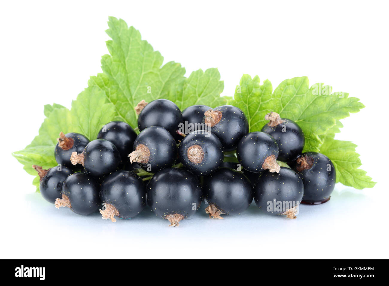 Les baies de cassis cassis fruits frais Fruits isolés sur un fond blanc Banque D'Images