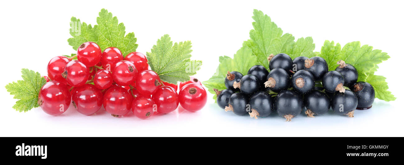 Cassis et groseilles rouges fruits fruits fruits isolés sur fond blanc Banque D'Images