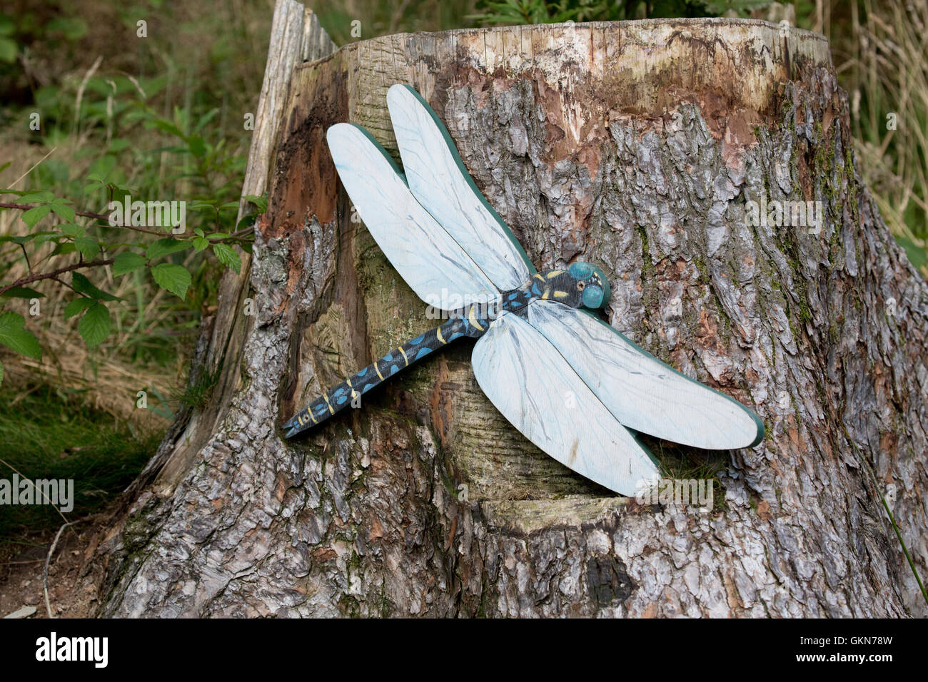 Sentier nature sur dragonfly modèle nant Bwlch Yr Arian Visitor Centre Ceredigion Mid Wales Banque D'Images