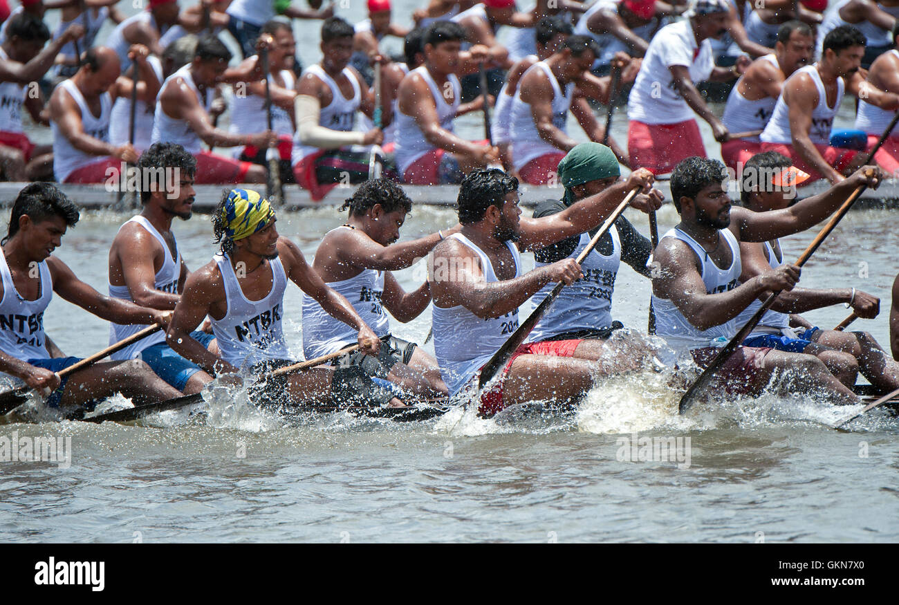 L'image du participant, l'aviron, Snake bateau , bateau de Nehru, le jour de la course, Allaepy Punnamda Lake, le Kerala Inde Banque D'Images
