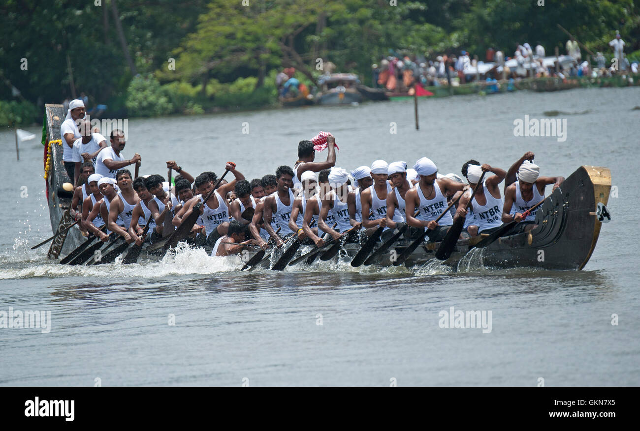 L'image du participant, l'aviron, Snake bateau , bateau de Nehru, le jour de la course, Allaepy Punnamda Lake, le Kerala Inde Banque D'Images