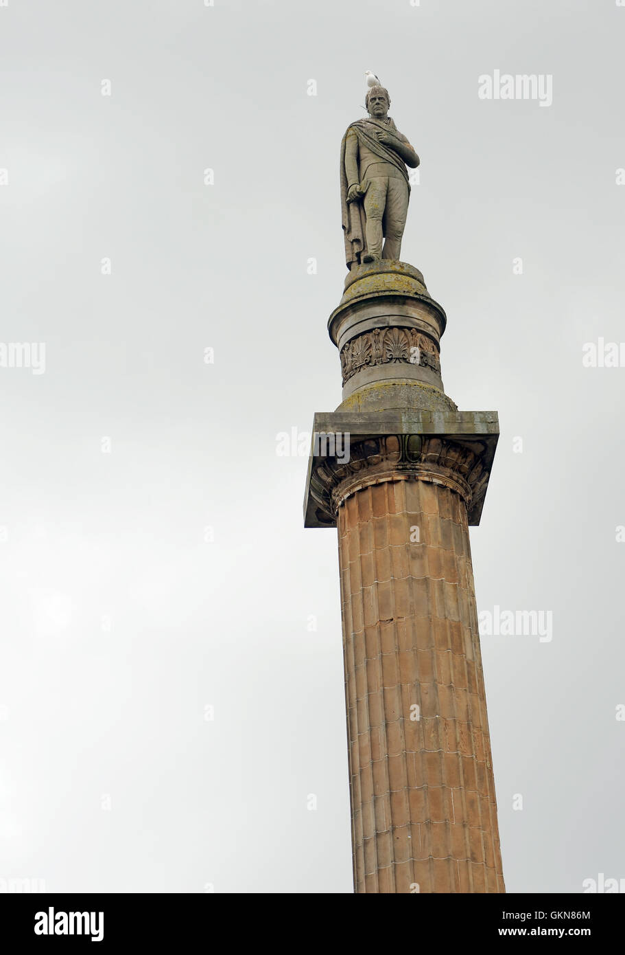 Une mouette se repose sur la tête de la statue de Sir Walter Scott en haut de la colonne commémorative de Walter Scott. George Square, Glasgow Banque D'Images