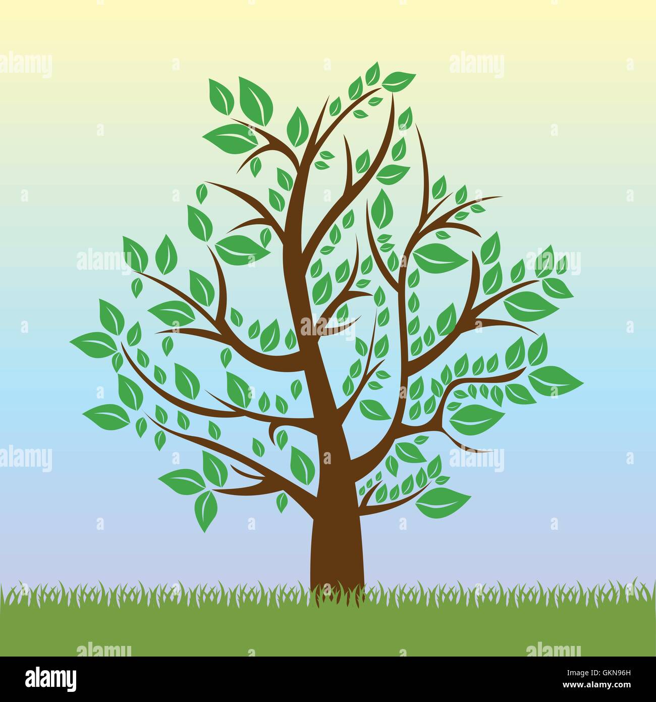 Illustration de l'arbre avec des feuilles vertes saison d'illu vectorielle Illustration de Vecteur