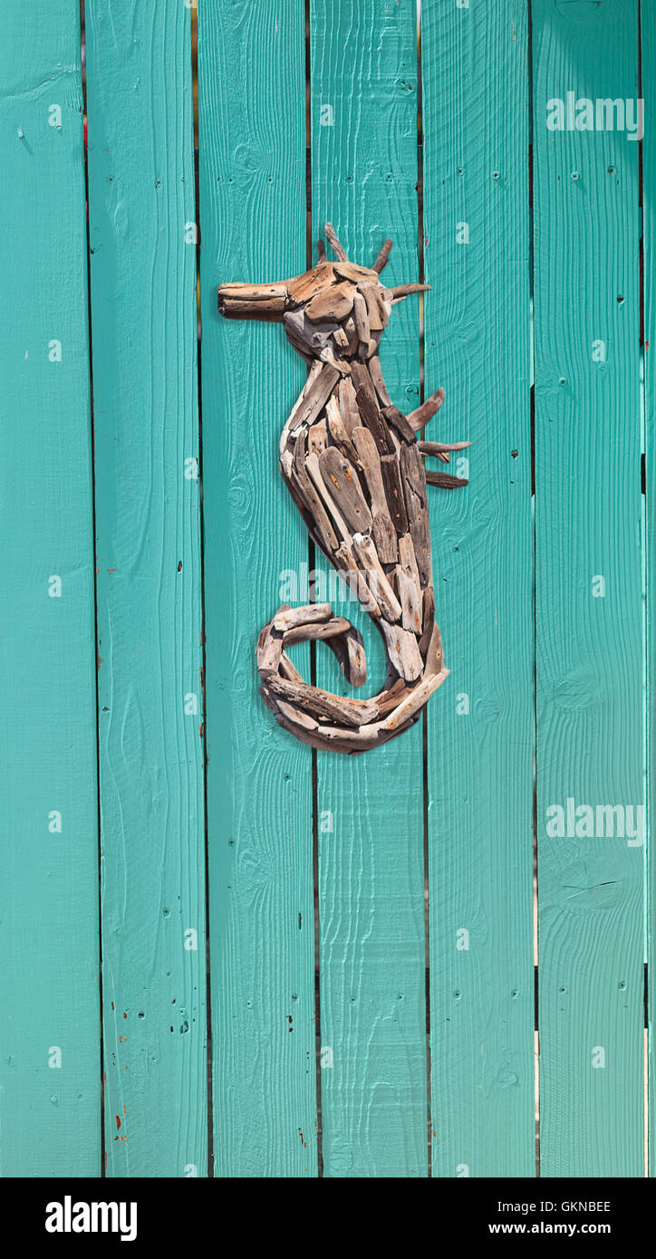 Bois flotté bois décor hippocampe sur une porte bleu aqua en été à Cape Cod Banque D'Images