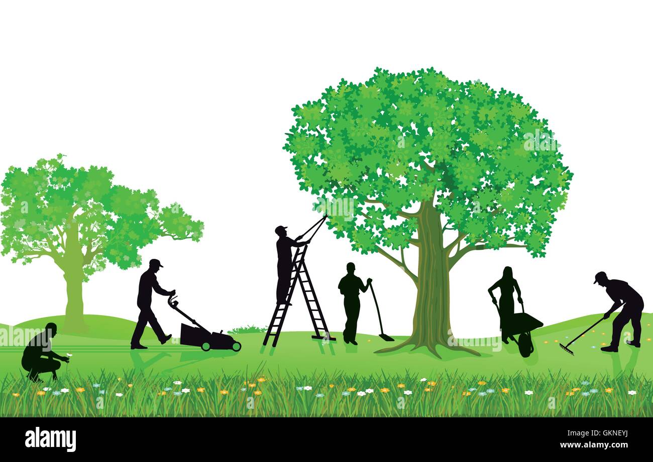 Les plantes de jardinage et élagage Illustration de Vecteur