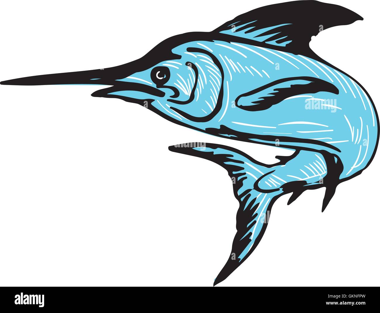 Style croquis dessin illustration d'un marlin bleu de sauts de poisson vu de côté situé sur fond blanc isolé. Illustration de Vecteur