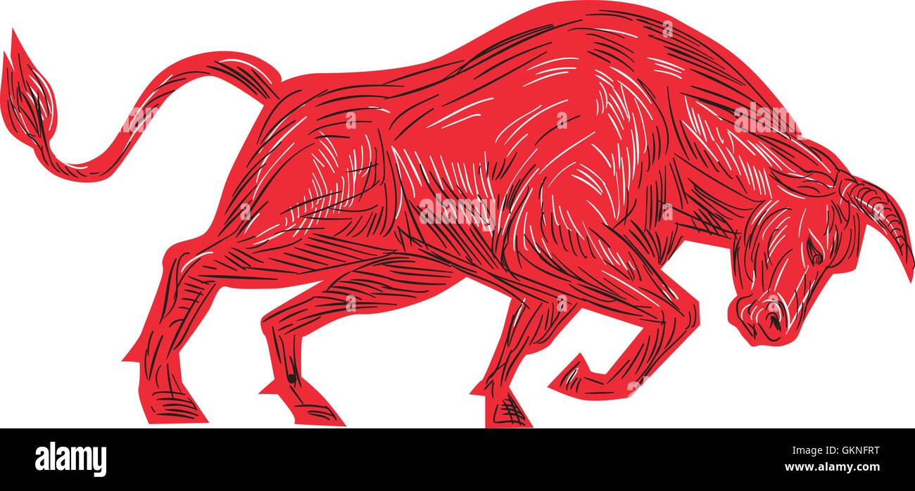 Croquis dessin illustration de style d'un taureau face à la charge d'attaquer depuis le côté isolé sur fond blanc. Illustration de Vecteur