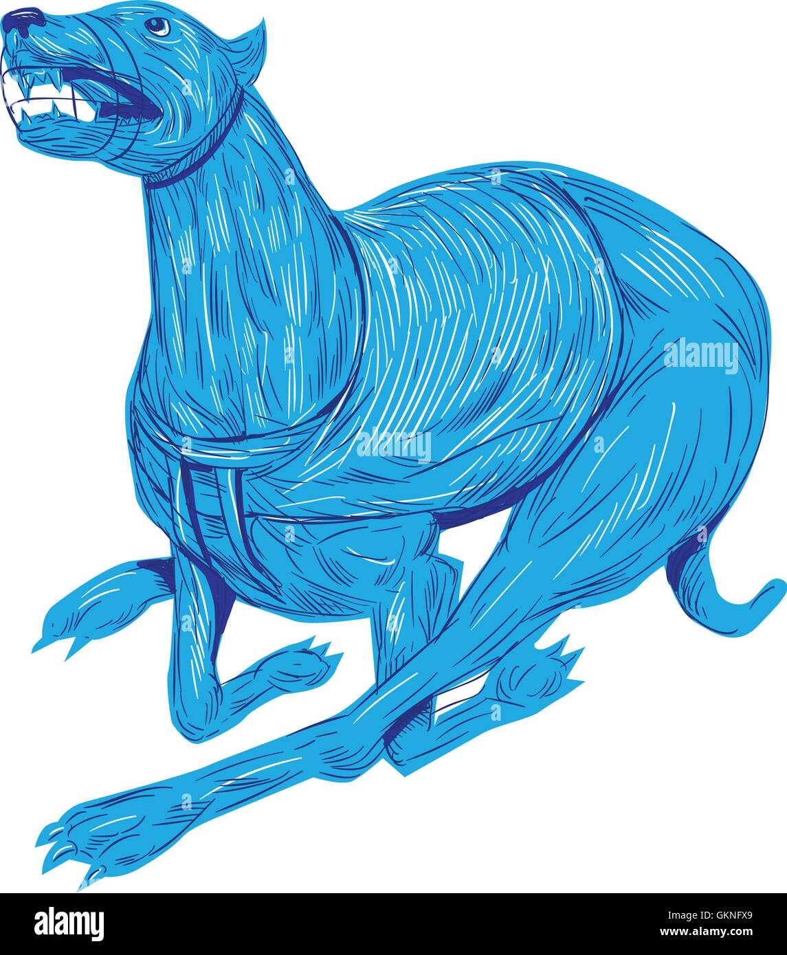 Style croquis dessin illustration d'un protecteur buccal avec chien Greyhound Racing vu du côté situé sur fond blanc isolé. Illustration de Vecteur