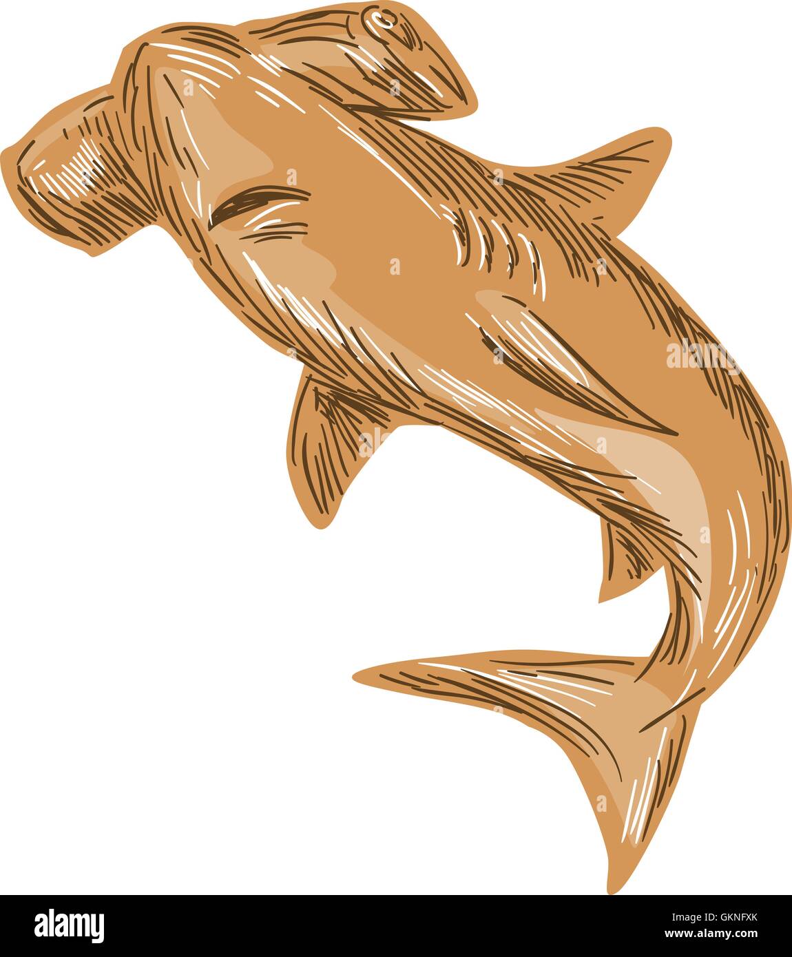 Style croquis dessin illustration d'un jeu de requin-marteau isolées sur fond blanc. Illustration de Vecteur