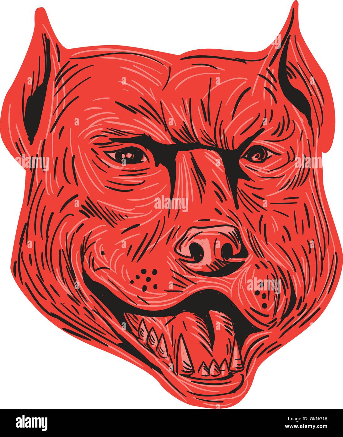 Style croquis dessin illustration d'un pitbull en colère face à l'avant de la tête de chien bâtard isolé sur fond blanc. Illustration de Vecteur
