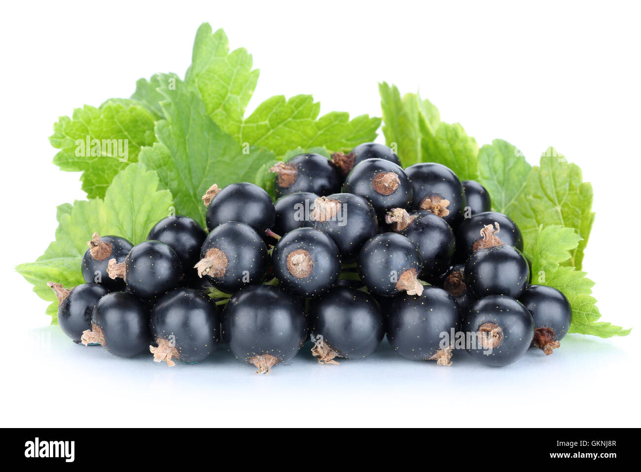 Les baies de cassis cassis fruits fruits isolated on white Banque D'Images