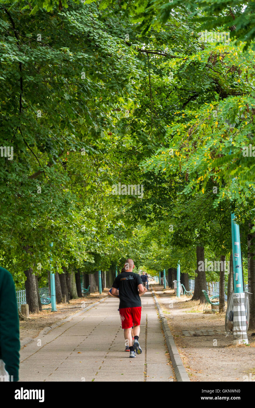 Paris, France, Parc des scènes, l'été, 16ème arrondissement, Man Jogging in Park Banque D'Images