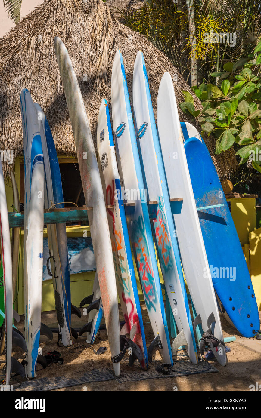 Stand Up Paddle boards sur la plage à Sayulita, Riviera Nayarit, Mexique. Banque D'Images