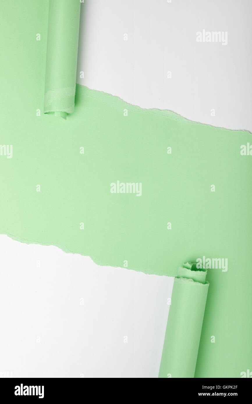 Larmes dans un morceau de papier vert révélant sous fond blanc Banque D'Images