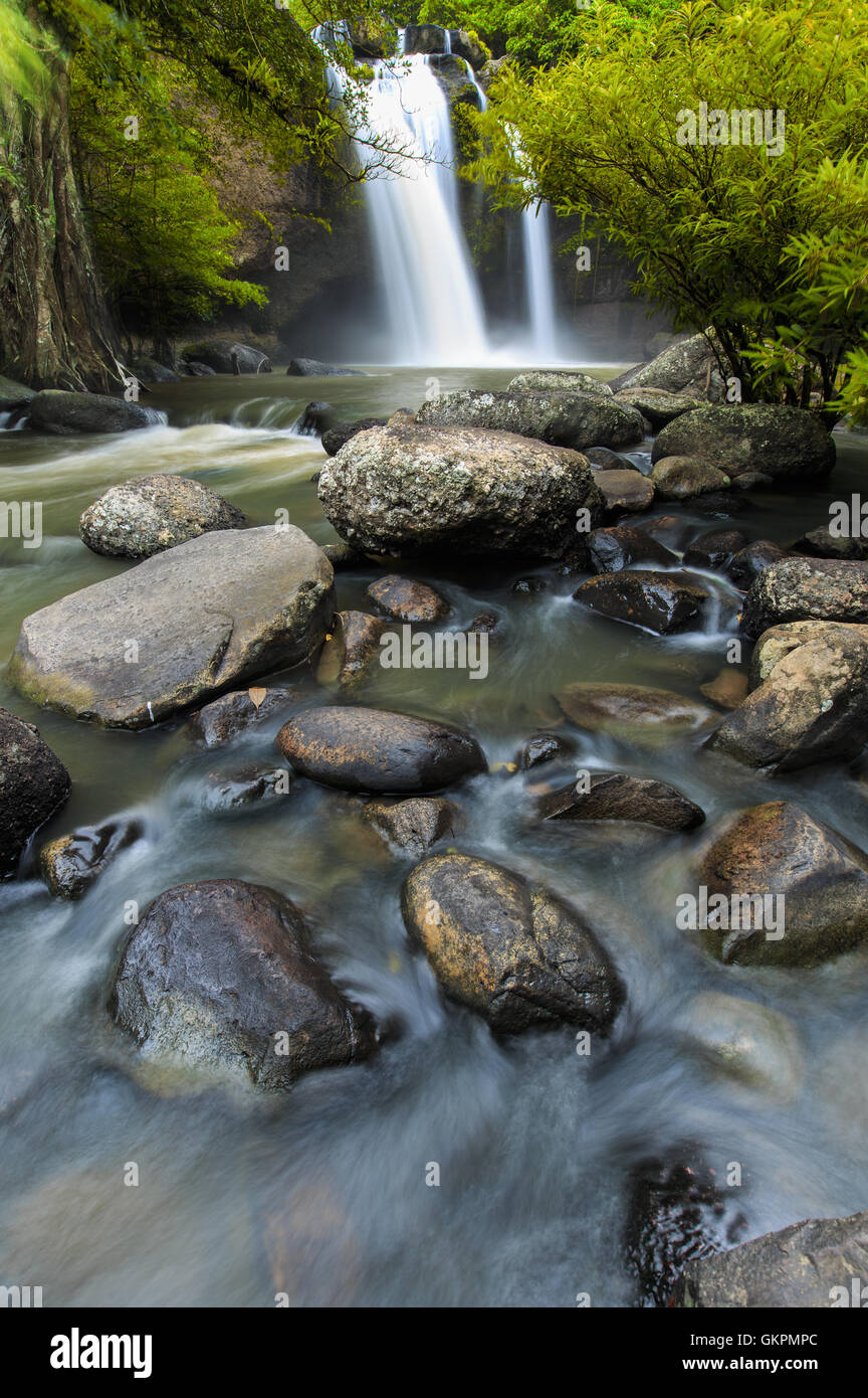 Cascade de beauté hew suwat cascade dans khoa yai national park en Thaïlande Banque D'Images