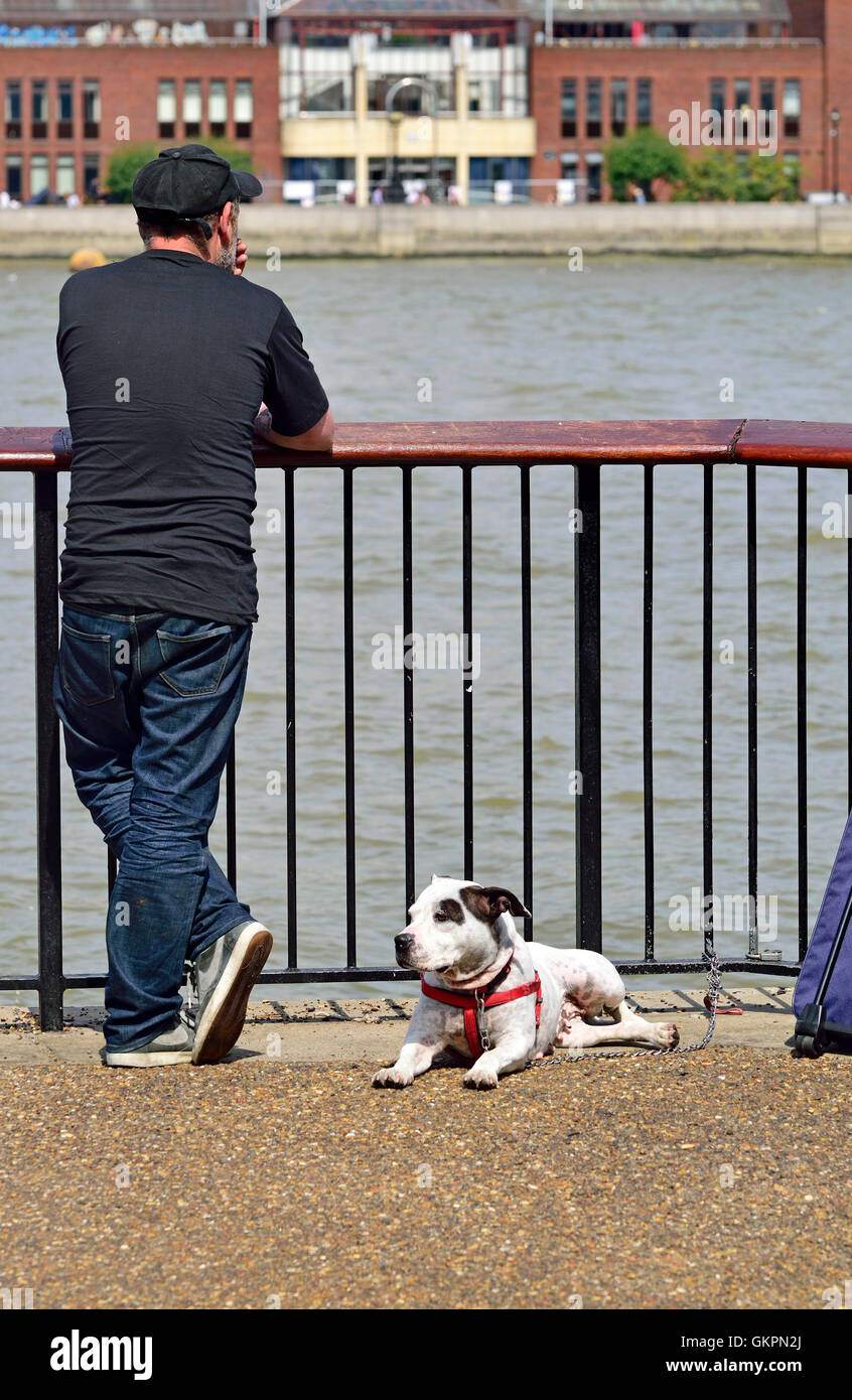 Londres, Angleterre, Royaume-Uni. Homme avec un Staffordshire Bull Terrier (peut-être traverser), tabagisme, sur la rive sud de la Tamise Banque D'Images